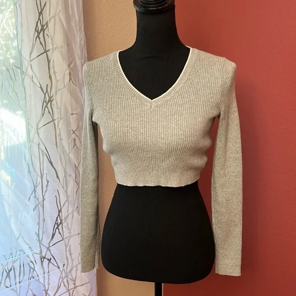 Brandy Melville Cropped Long Sleeve Ribbed Knit Top - Picture 1 of 9